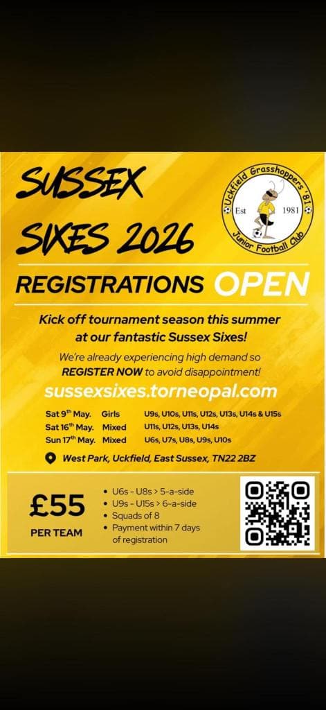 Sussex Sixes flyer